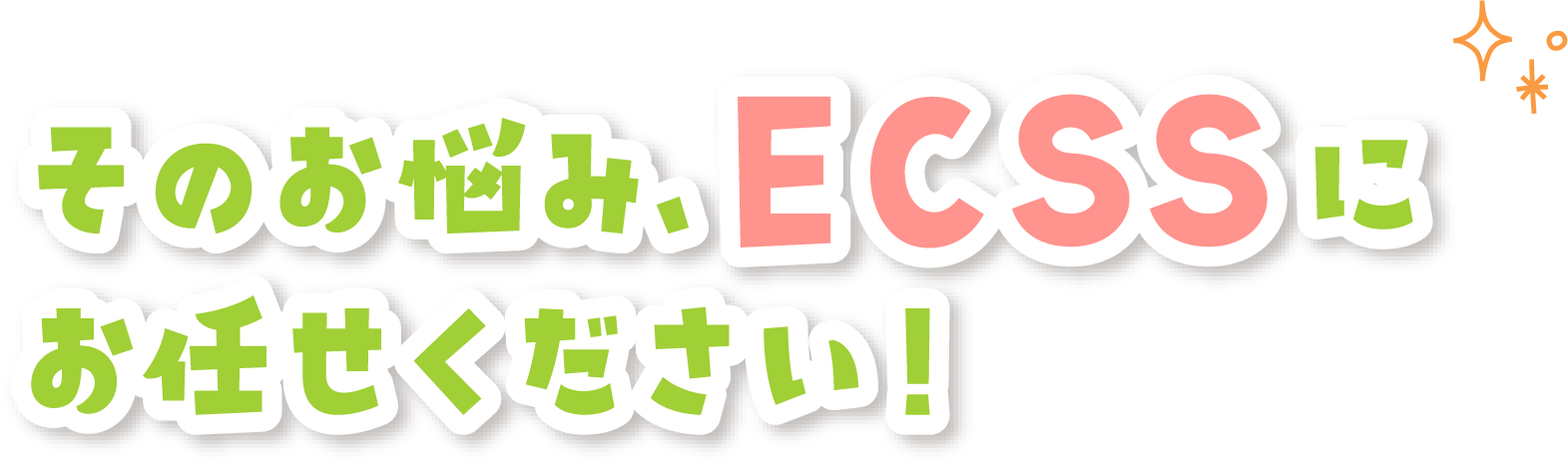 そのお悩み、ECSSにお任せください
